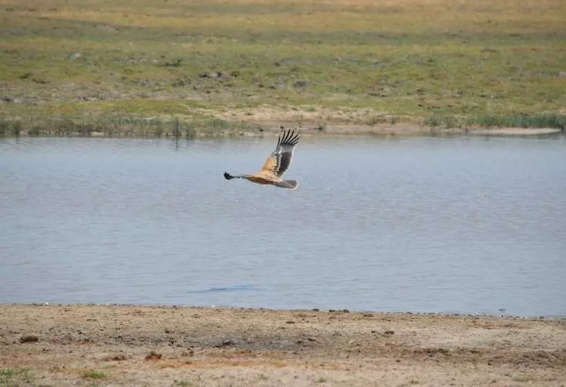 هتل White Sands Lodge