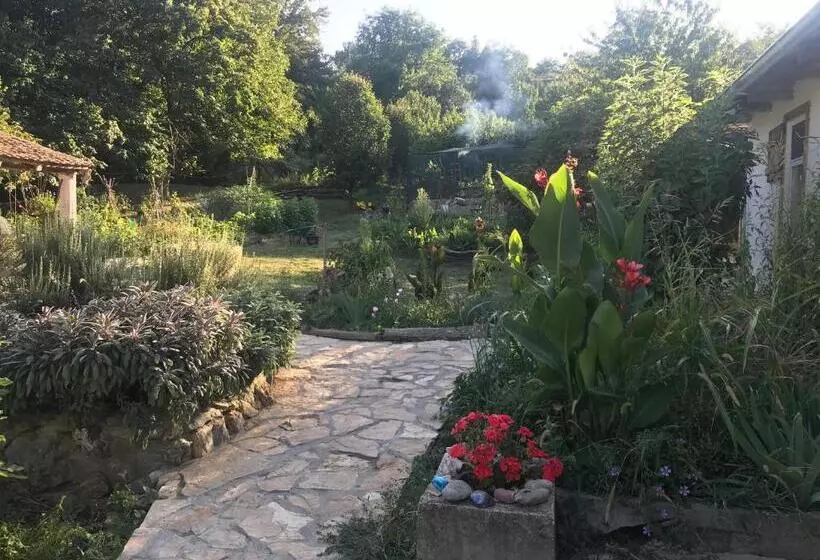 پانسیون Balkan Retreat