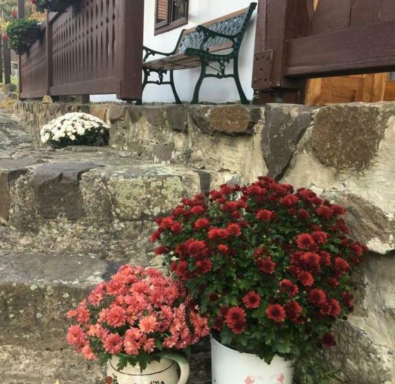 Пансион Tugári Vendégház