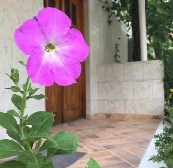 پانسیون Guesthouse Georgia Sagarejo