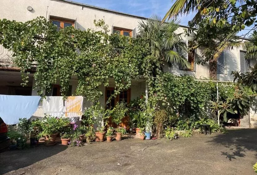 پانسیون Guesthouse Georgia Sagarejo