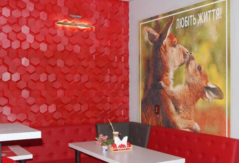 호스텔 мини отель,хостел кенгуру