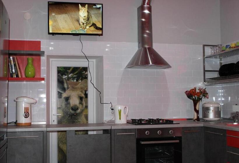 호스텔 мини отель,хостел кенгуру