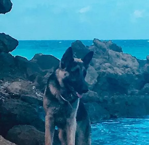 هاستل Cottage At Forever