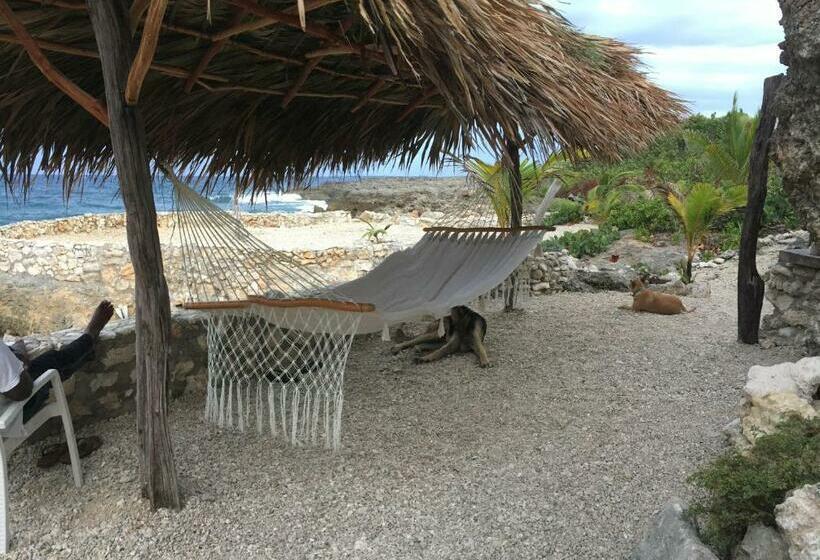 هاستل Cottage At Forever