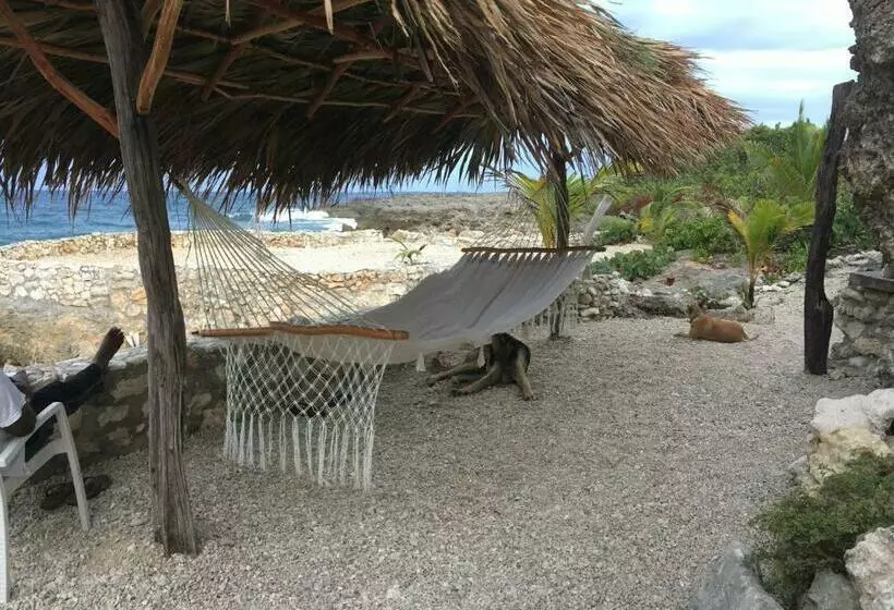 هاستل Cottage At Forever