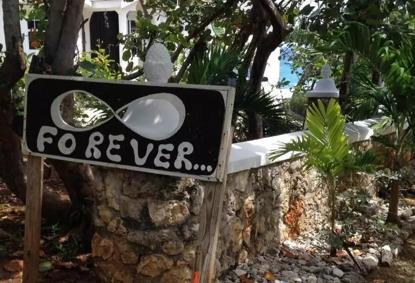 هاستل Cottage At Forever