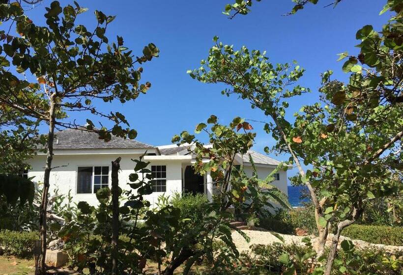 هاستل Cottage At Forever