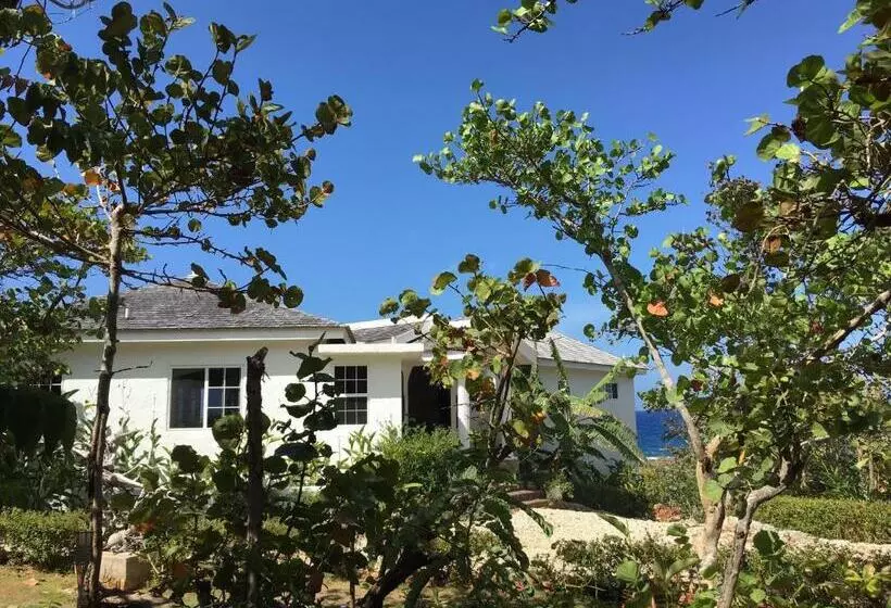 هاستل Cottage At Forever