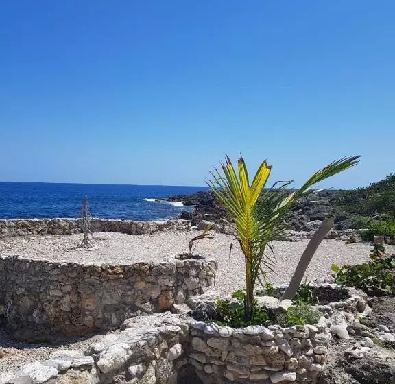 هاستل Cottage At Forever