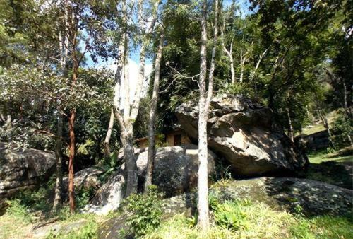 ユースホステル Pousada Jacu Acu