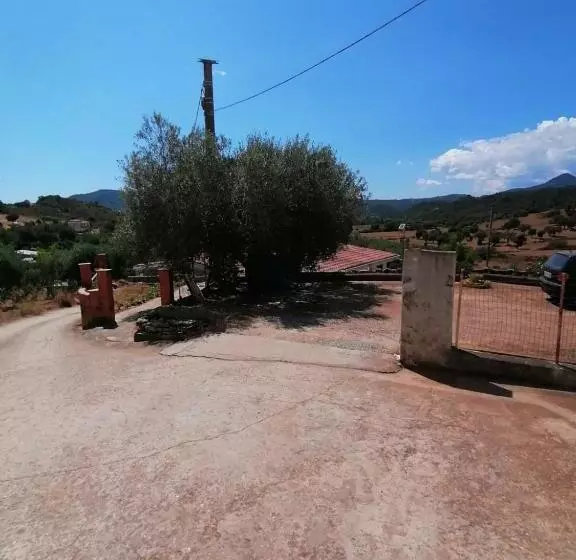 Bed & Breakfast Sa Cronta Affitacamere