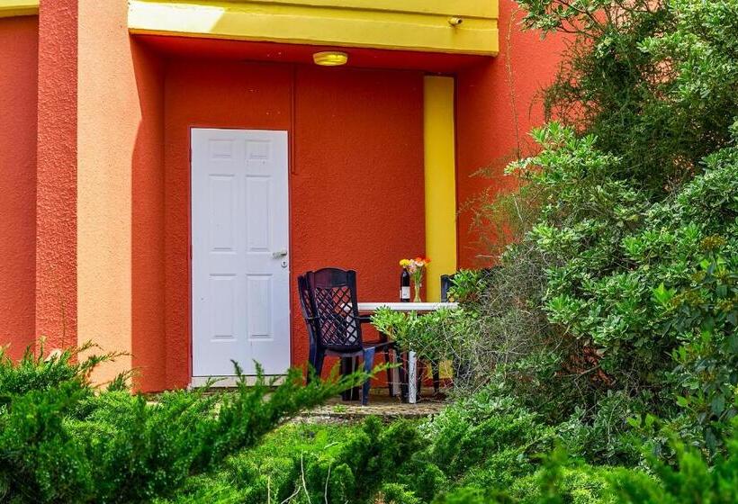 住宿加早餐 Serenity In The Mountains