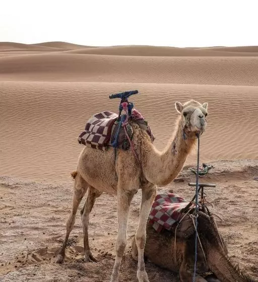 Majatalo Kasbah Aitisfoul