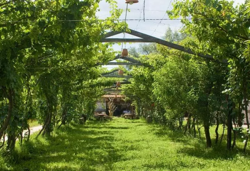 هاستل Hostería   Bodega Valle Divino