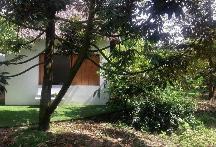 هاستل Maison De L Amant