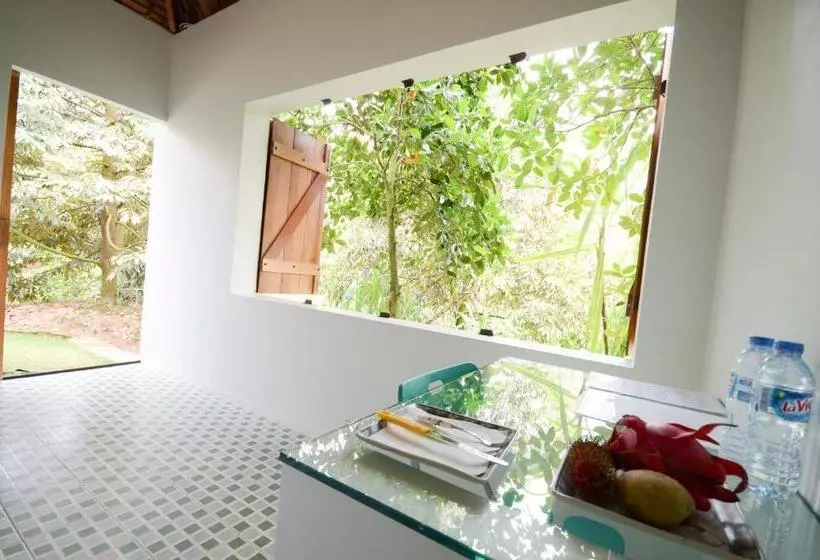 هاستل Maison De L Amant