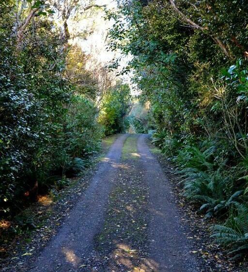 Barn Bed And Breakfast