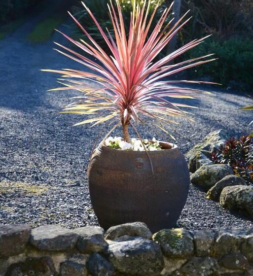 Barn Bed And Breakfast