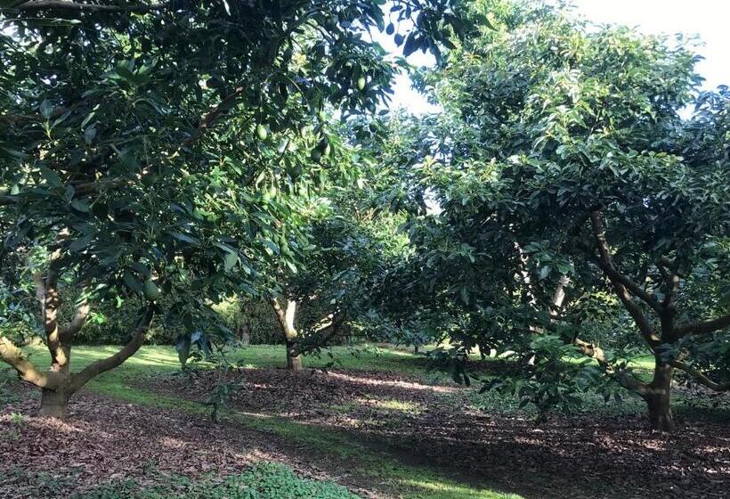 צימר Baybell Lodge