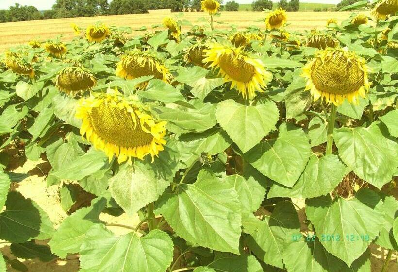 צימר Domaine Serrot