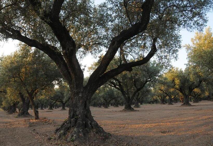 בית מלון כפרי Contrada Guido
