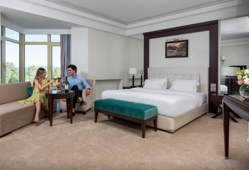 هتل Gabala Yengice Thermal Resort