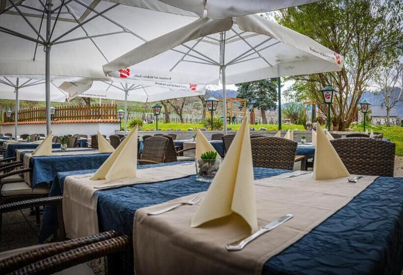 酒店 Gasthof Zur Wachau