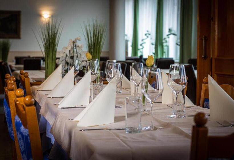 酒店 Gasthof Zur Wachau