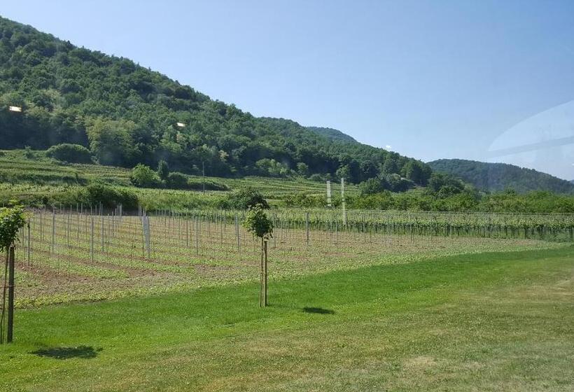 酒店 Gasthof Zur Wachau