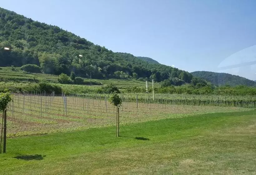 ホテル Gasthof Zur Wachau