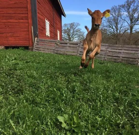 ホテル Råshults Gård