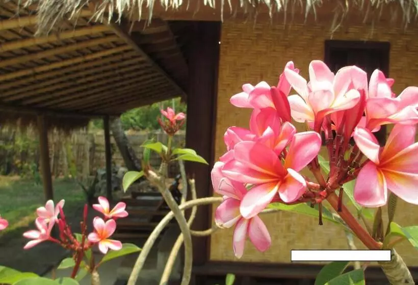 ペンション Selong Belanak Bungalows