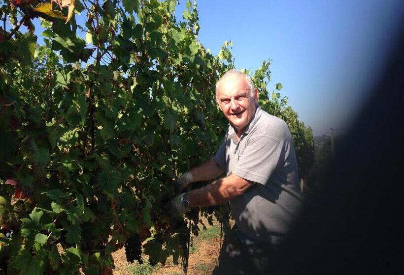 B&b Cantine Pietronero