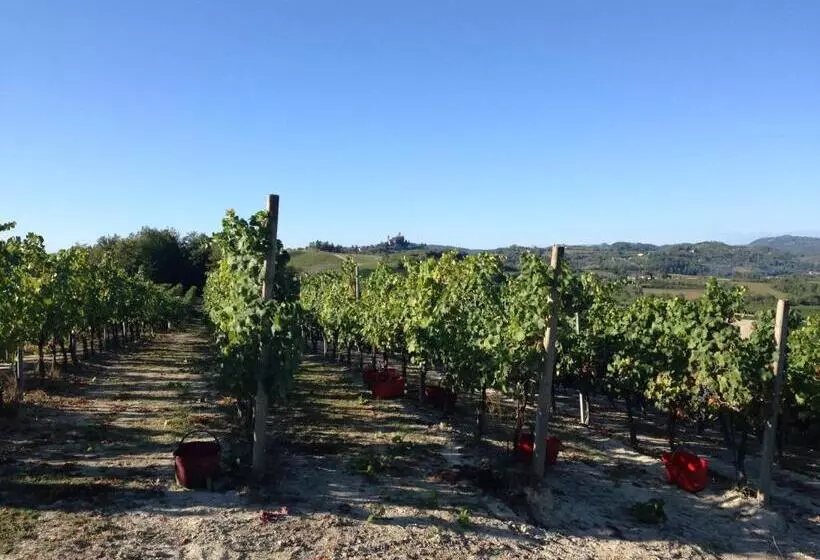B&b Cantine Pietronero