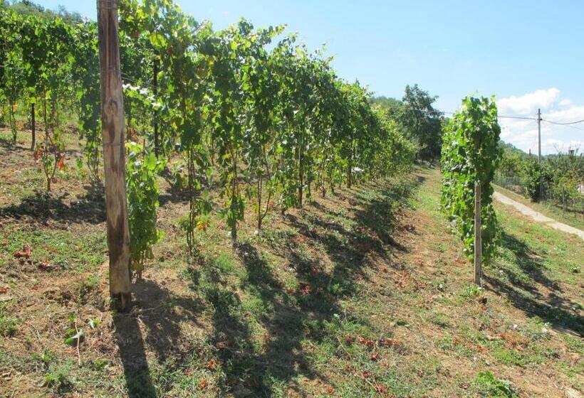 B&b Cantine Pietronero