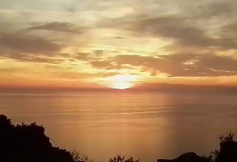 ベッドアンドブレックファースト Lavandajo