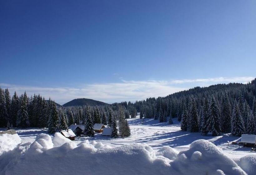 هتل Jelka Pokljuka