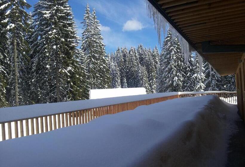 هتل Jelka Pokljuka