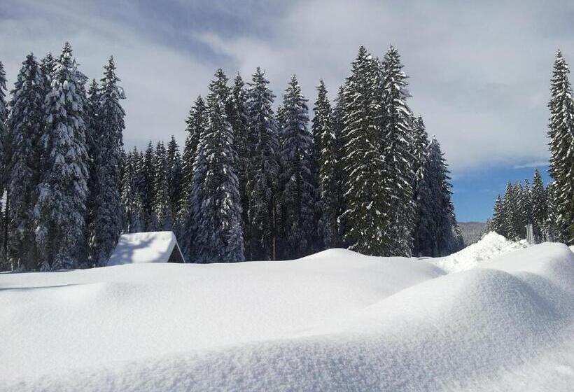 هتل Jelka Pokljuka