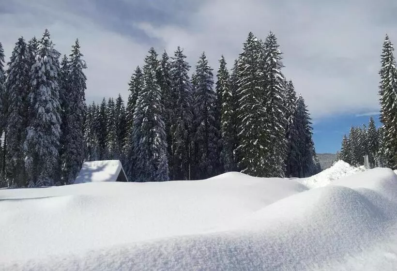 هتل Jelka Pokljuka