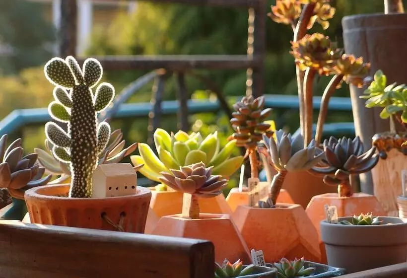 هتل Lido Forestry Spa Resort