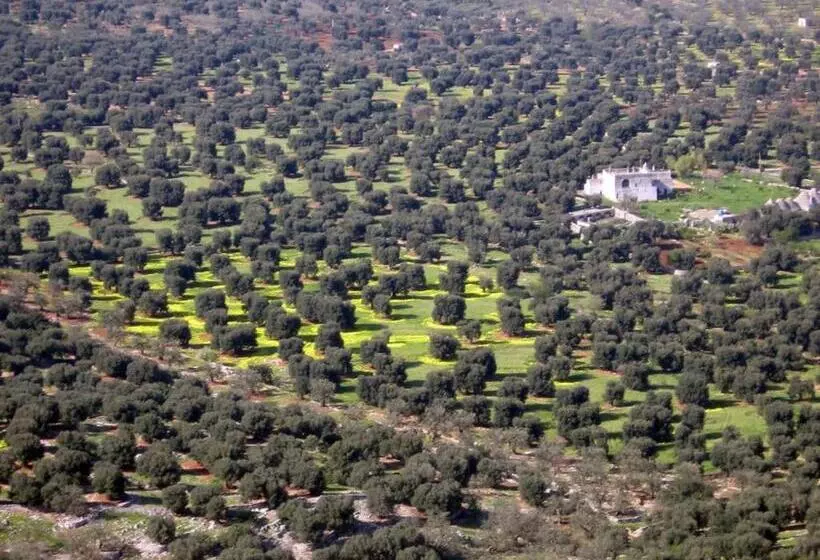 I Trulli Di Acquarossa