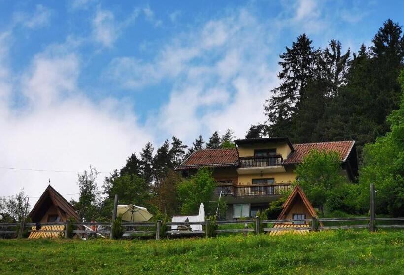 پانسیون Apartments Mm