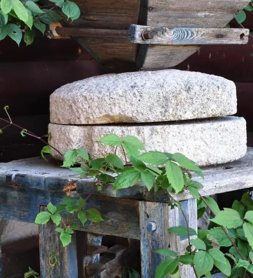 پانسیون Guesthouse Dolinsek