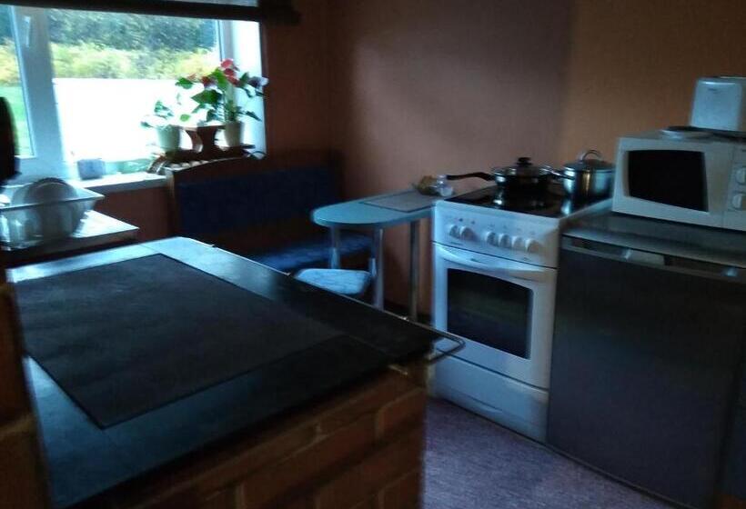 پانسیون Rogosi Külaliskorter