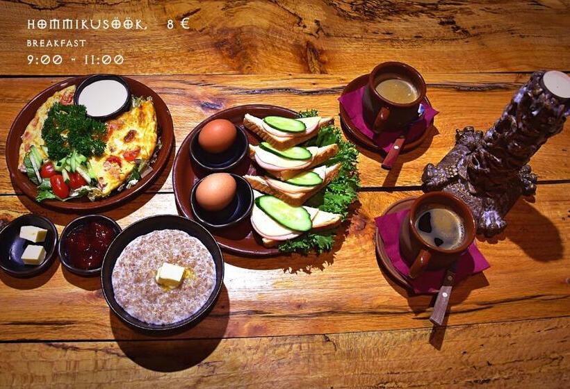 پانسیون Viikingite Küla