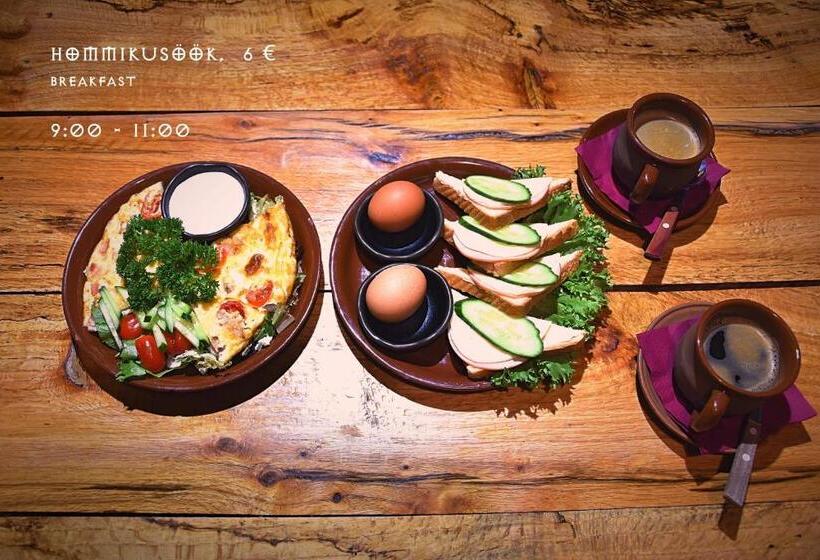 پانسیون Viikingite Küla