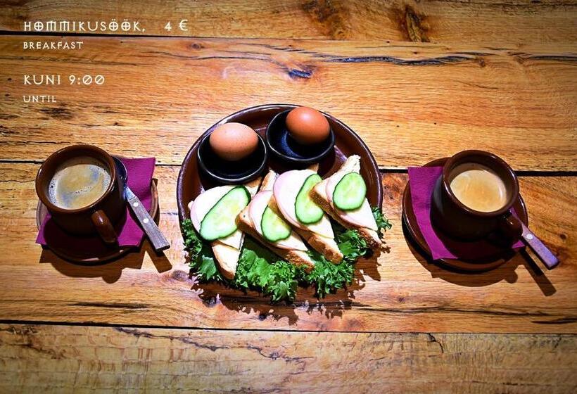 پانسیون Viikingite Küla