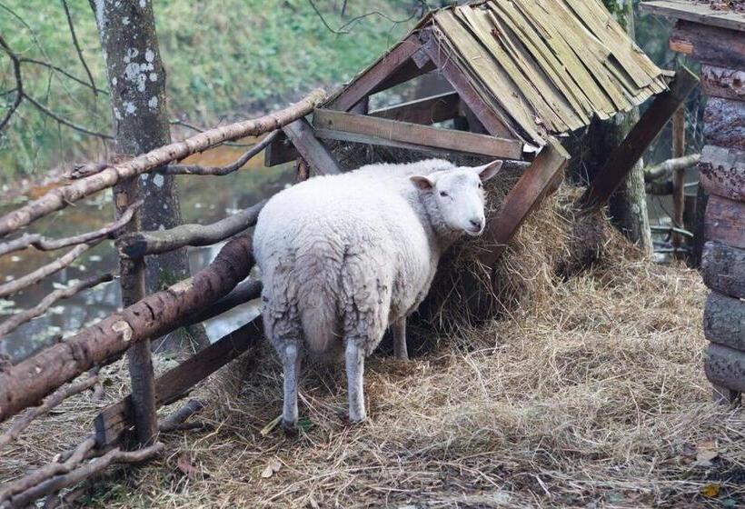 پانسیون Viikingite Küla